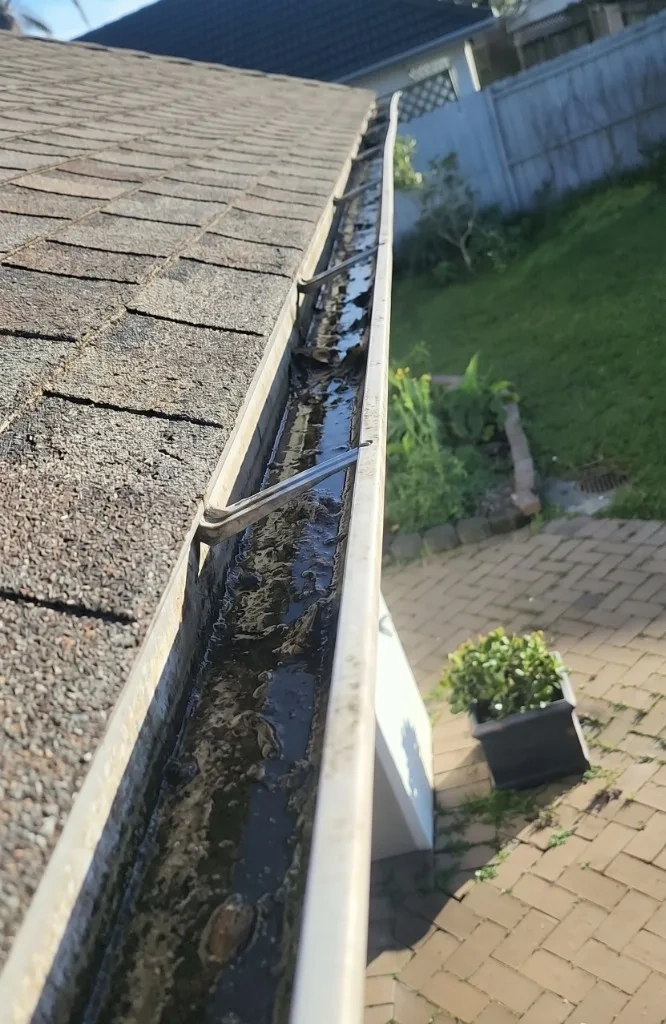 Clogged roof gutter with decomposing leaves and standing sludge before cleaning - Scarsdale NY