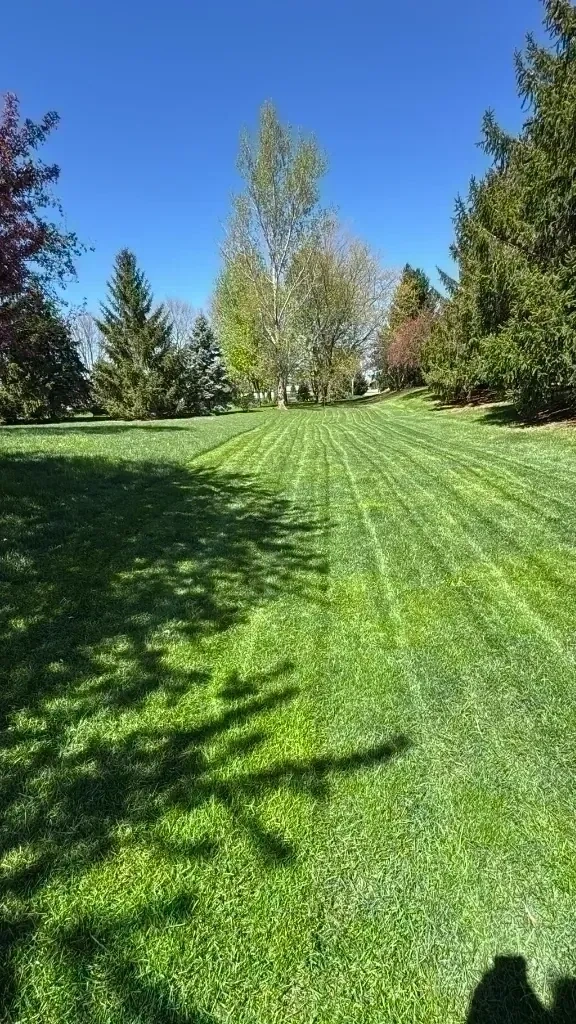 Freshly mowed estate lawn with precision turf striping lines under clear blue sky - Pleasantville NY