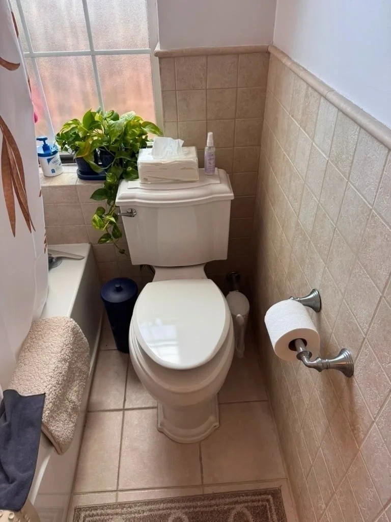 Modern elongated white toilet seat replaced and mounted - Scarsdale NY