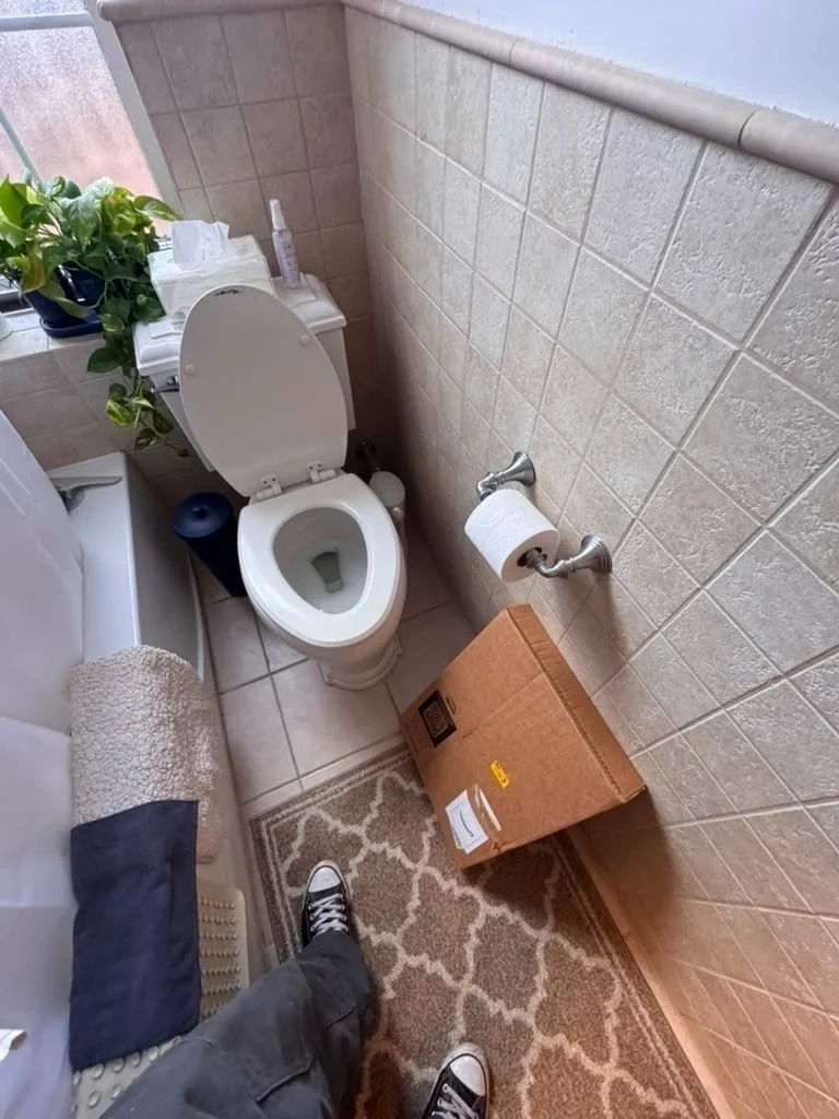 Existing bathroom toilet before seat replacement - Scarsdale NY